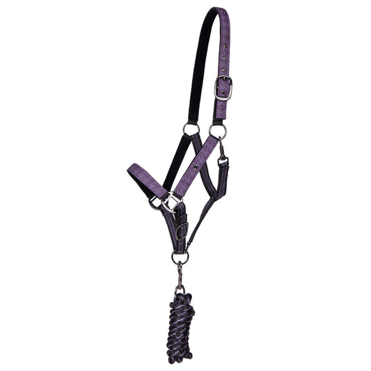 Duo licol et longe avec turnout collection Amethyst