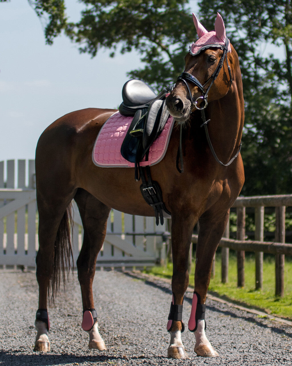 Tapis de selle Florence Flamingo poney et shet