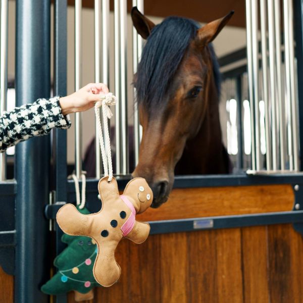 IRHStable buddy Bonhomme en pain d'épice