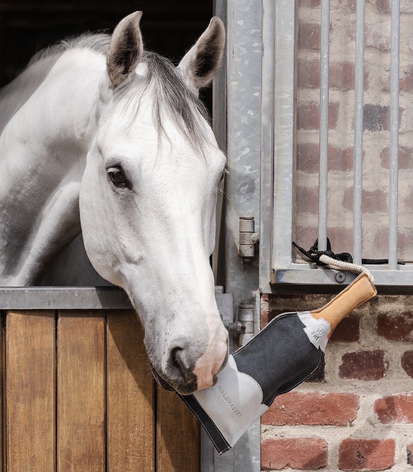 Jouet pour cheval Bouteille de champagne