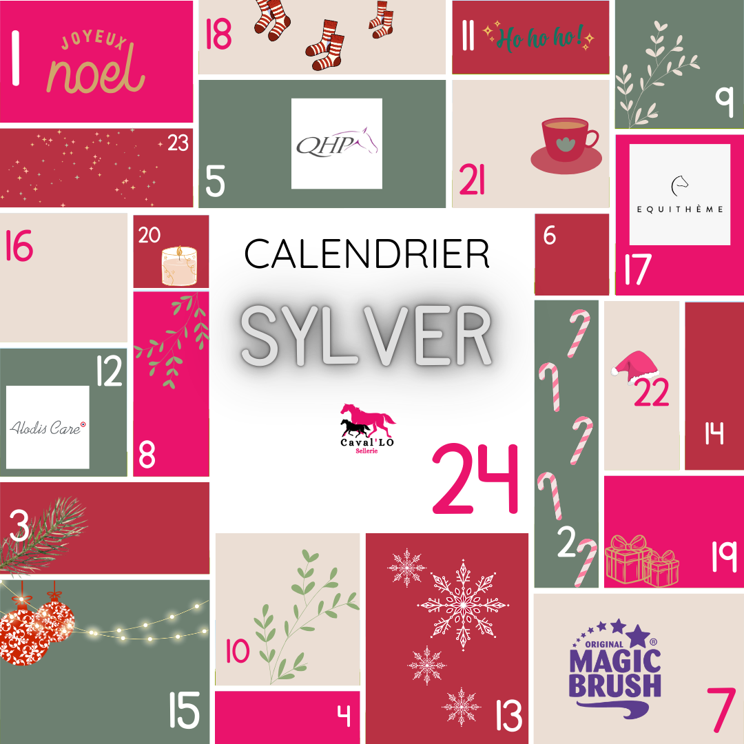 Calendrier de l'avent "Silver"