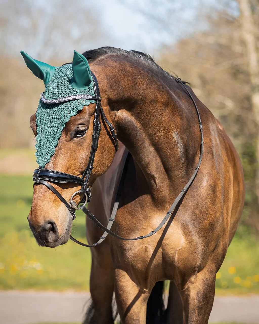 Bonnet Lungo Vert