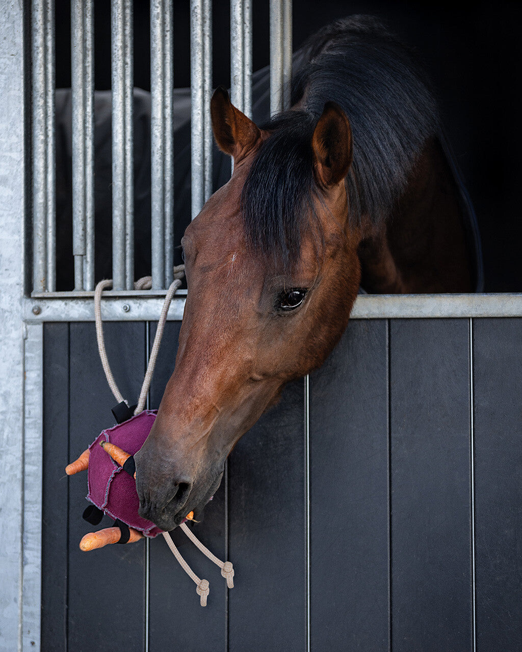 Jouet pour chevaux ball rose