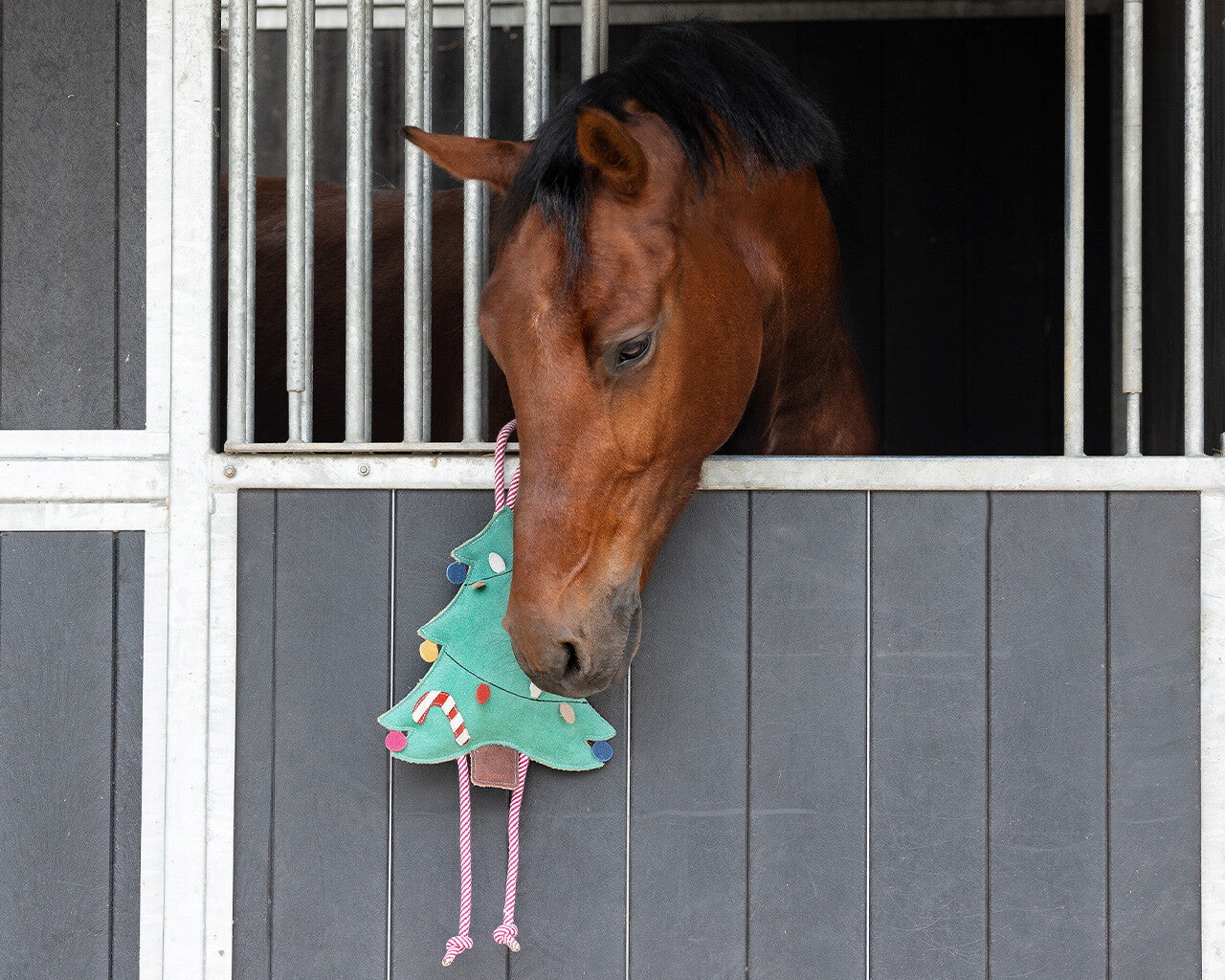 Jouet pour chevaux Noël