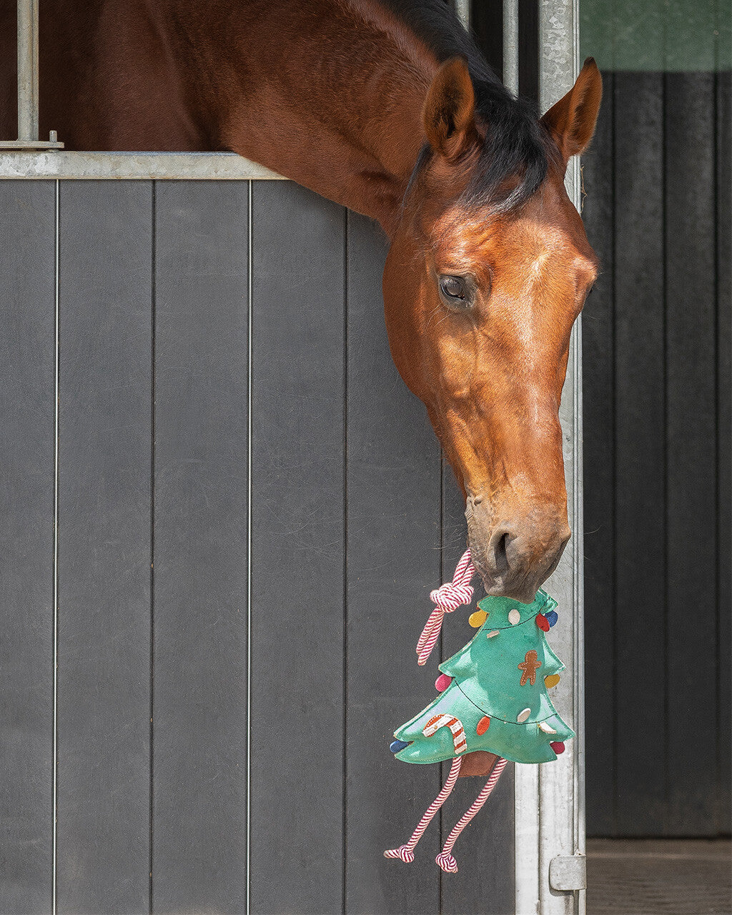 Jouet pour chevaux Noël