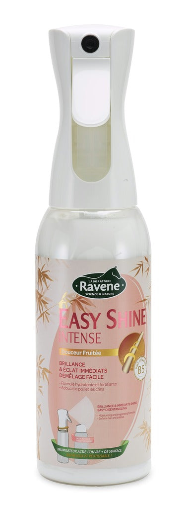 EASY SHINE INTENSE RAVENE