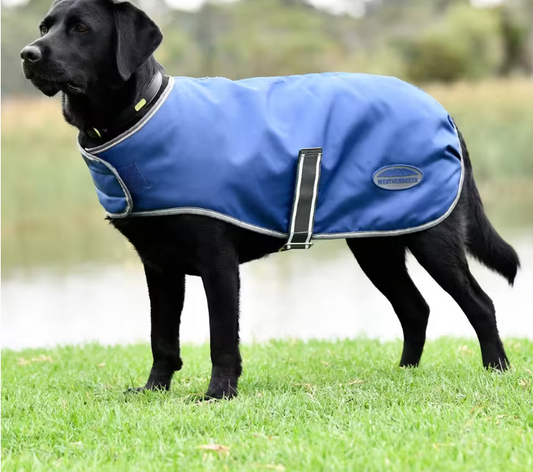 Weatherbeeta Comfitec Windbreaker Free Manteau pour chien