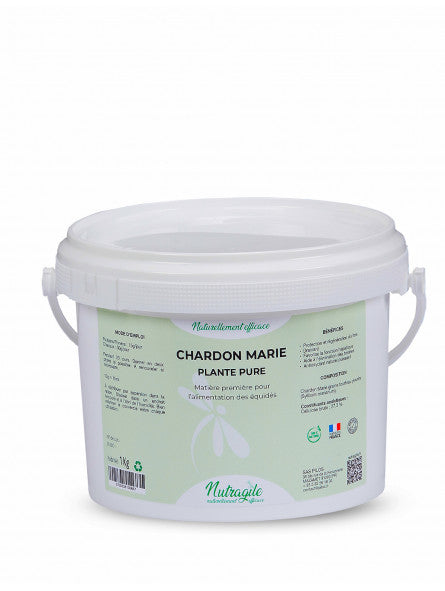 Chardon Marie Poudre