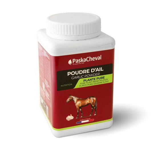 Poudre d'ail