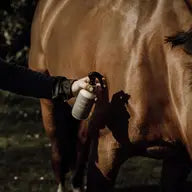 Répulsif insectes pour chevaux Nellumbo